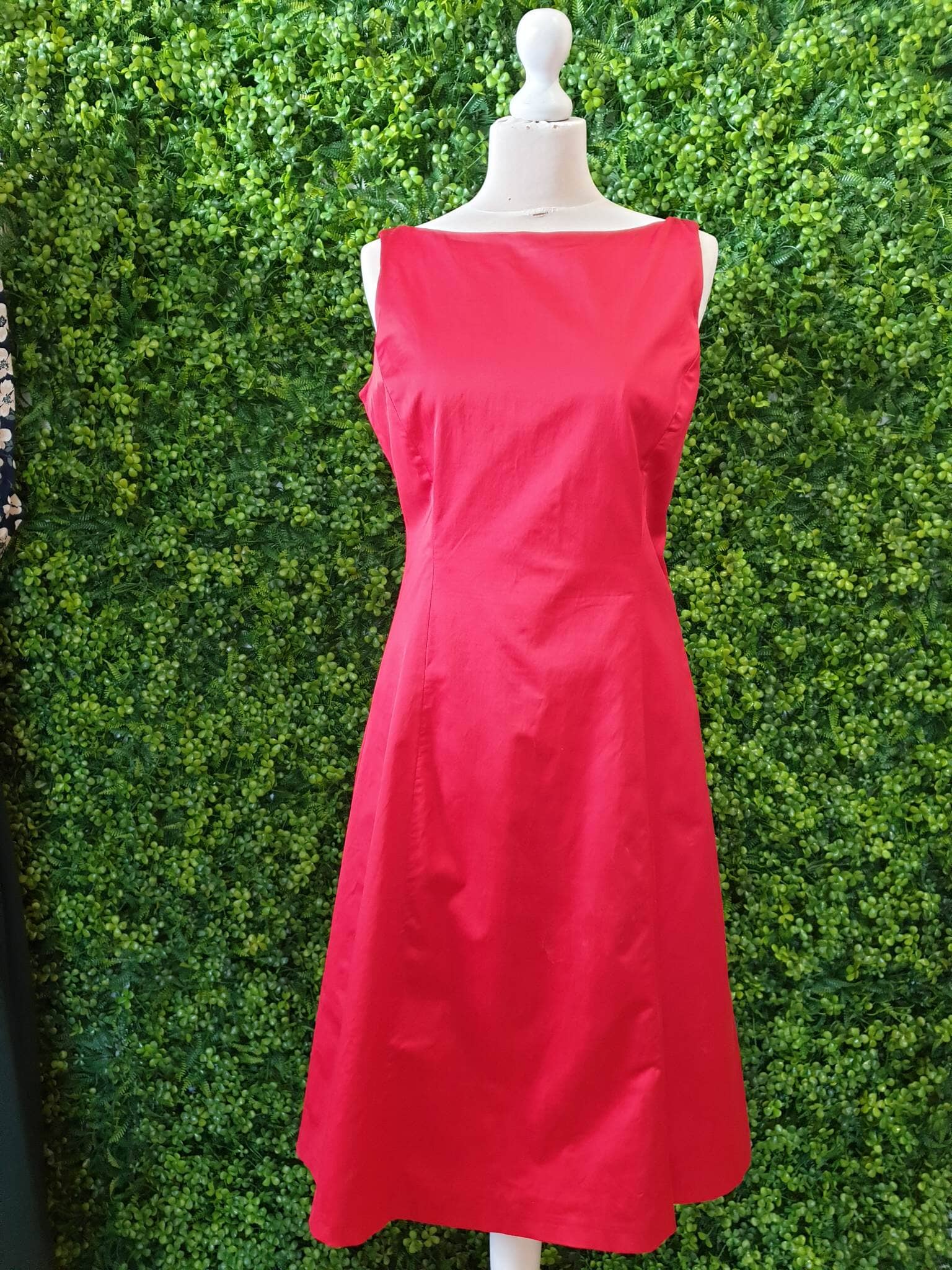 Coast best sale raspberry dress